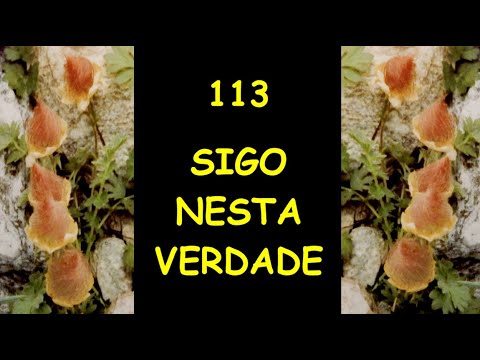 113-Sigo Nesta Verdade