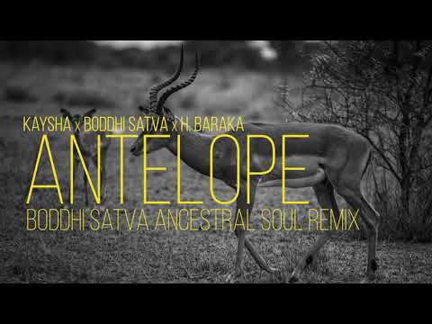 Kayshax Boddhi Satva x H. Baraka - Antelope | Ancestral Soul Remix