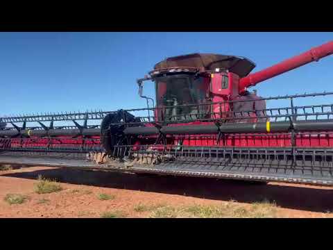 LOTE DE 2 COLHEITADEIRAS A VENDA, CASE 8250 E MF 9895 Usado - 2022  Baixa Grande do Ribeiro / PI 