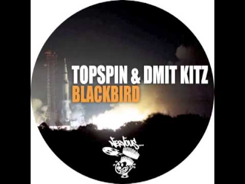 Topspin & Dmit Kitz - Blackbird
