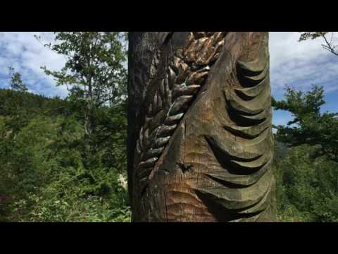 Rothaarsteig 1 Etappe