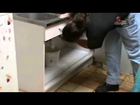 comment traiter contre les cafards