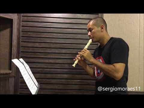 A PANTERA COR DE ROSA NA FLAUTA DOCE | THE PINK PANTHER