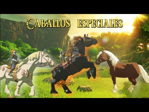 Aleatorio: Zelda: TOTK Exploit de Compartición de Autobuild Te Permite Invocar un Ejército de Ganon