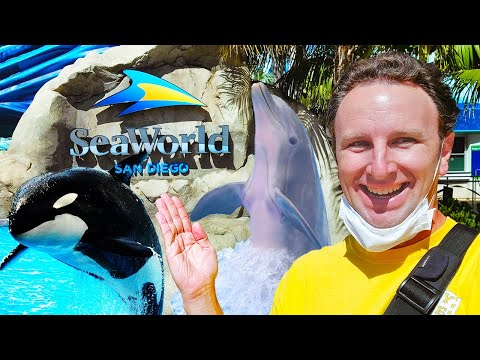 image-Do you have to wear a mask at SeaWorld San Diego?