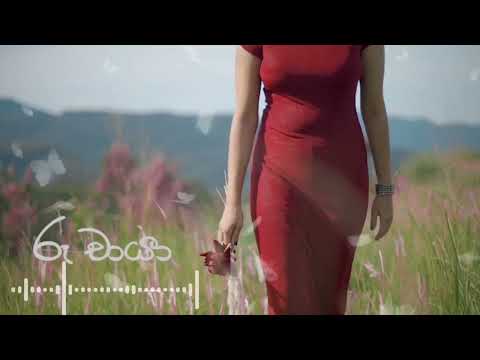 Ruu Chaya Official Music Video - D brothers |  Shashi X Chathumi  ආදරේ සද මා මගේ සිත