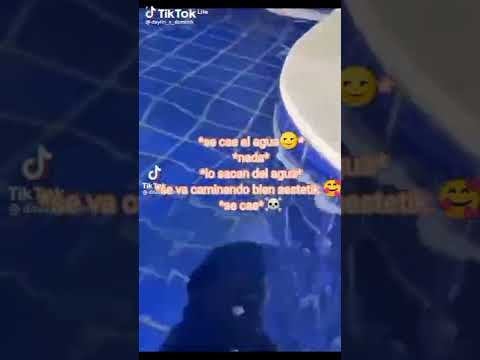 Perro se cae al agua😂 #humor #perros #pets #risa #comedy