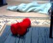 Elmo