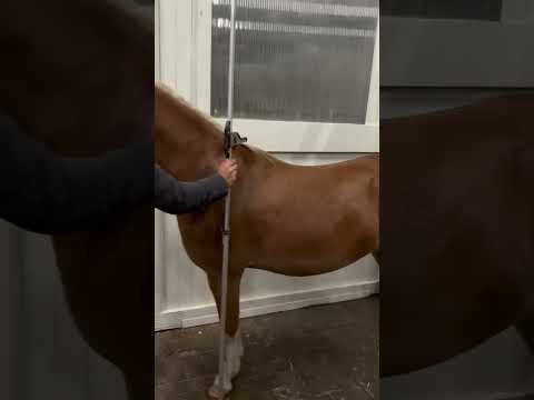Measurement video