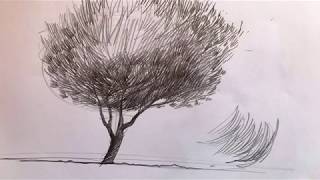 Design Drawing tutorial 4: Trees