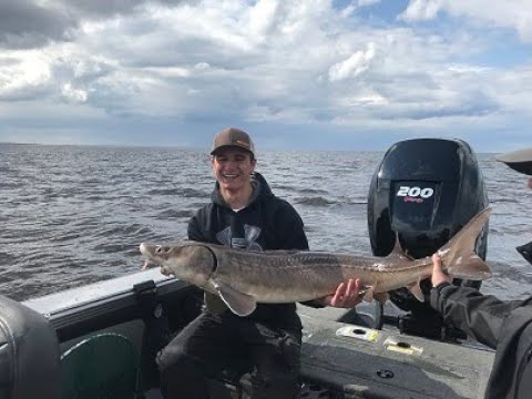 612outdoors.com - Lake of the Woods Sturgeon 05/11/2019