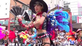 ロボットレストラン 【 美人サンバ！】 浅草サンバカーニバル　2016 Asakusa samba carnival  삼바　桑巴舞