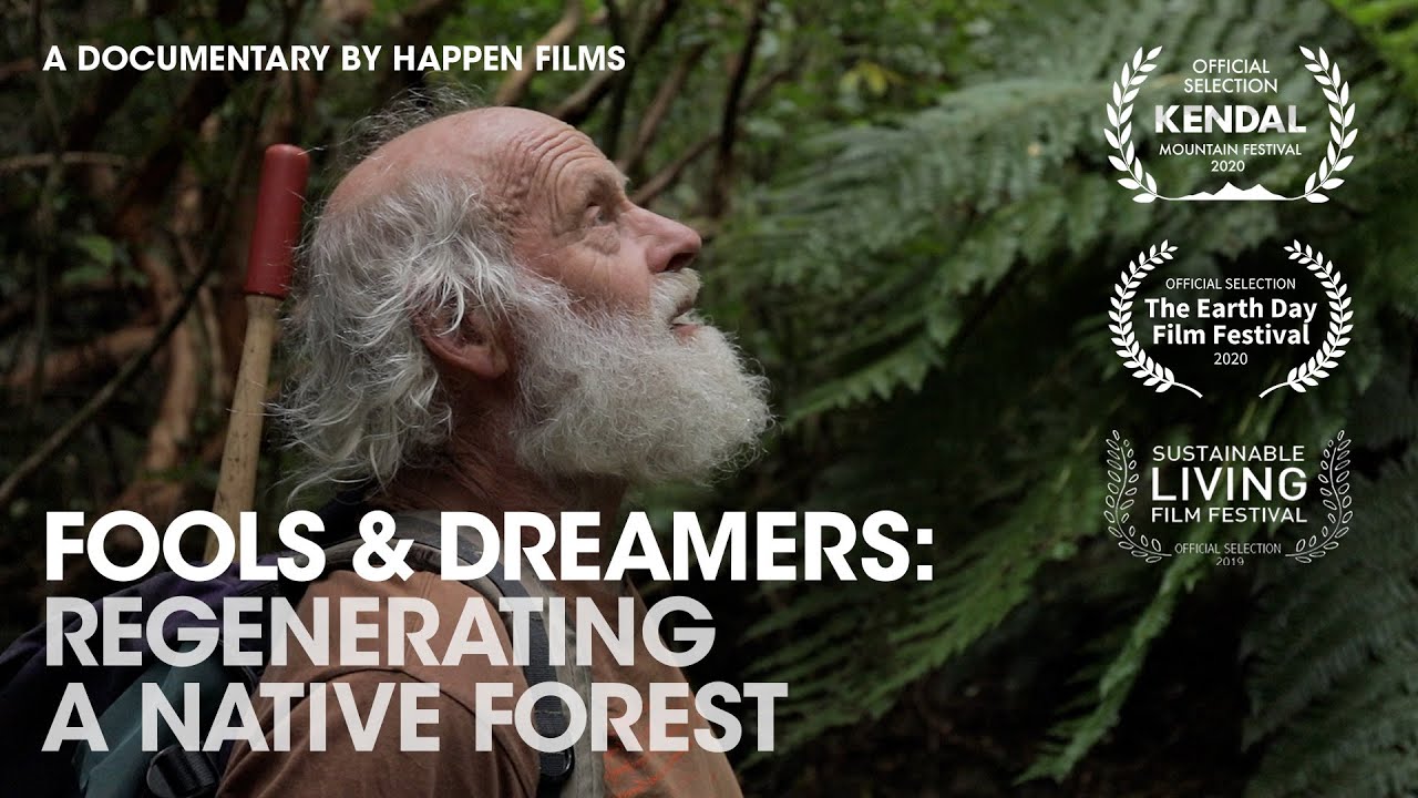Man Spends 30 Years Turning Degraded Land into Massive Forest – Fools & Dreamers (Full Documentary)
