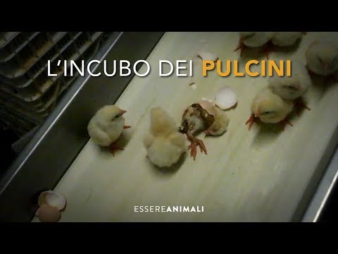 Le analisi su parassiti dove può esser consegnato Per prendere il sogno prenotano vermi
