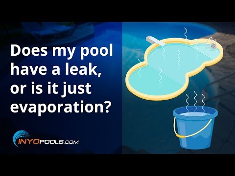 download lagu mp3 mp4 How Much Water Should My Pool Lose, download lagu How Much Water Should My Pool Lose gratis, unduh video klip How Much Water Should My Pool Lose