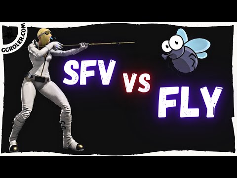 SFV VS FLY