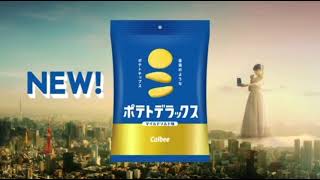 音割れポテトチップス