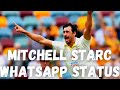 Mitchell Starc Whatsapp Status Ft Beat Of Master Starc Master Australia