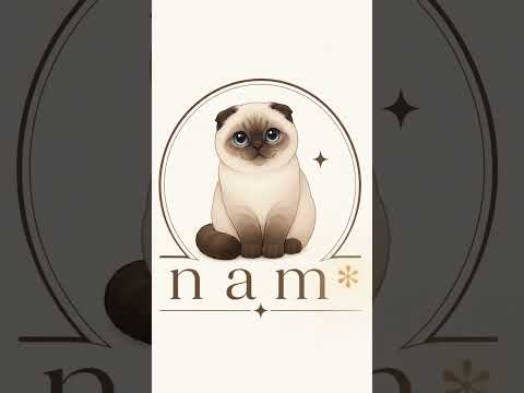 intro