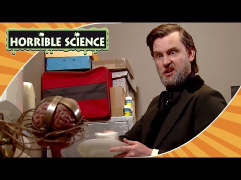 Horrible Science - Professor McTaggart Meets Louis Pasteur | Science for Kids