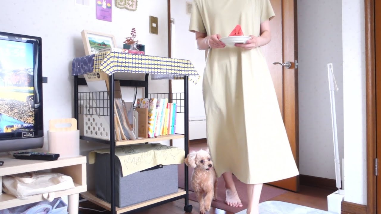 初めての相撲観戦と畑で野菜収穫した夏の記録。30代、保護犬との北海道暮らし。