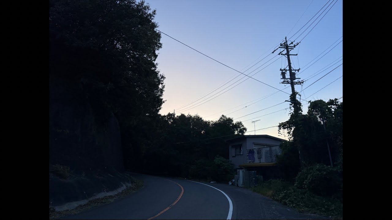 massak 81 está ao vivo!