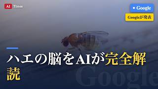 【AIニュース】ハエの脳をAIが丸ごと地図化｜脳コネクトームを3分解説