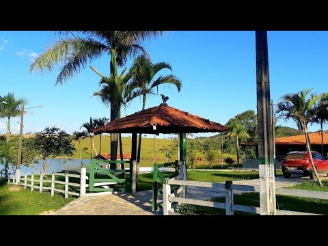112 ALQUEIRES EM ALEXÂNIA - GO FAZENDA A VENDA EM GOIAS [🌱DUPLA APTIDÃO🐄] Zap 62.99972-2000 #agro