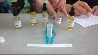 Making Your Own Perfume: Inspired by Chanel No 5 - Formula #1