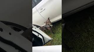 like it’s far no way