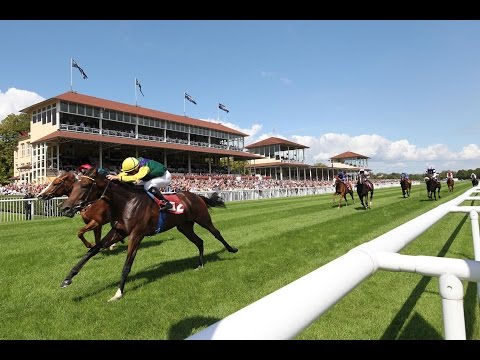 Baden-Baden: das neue welle Auftaktrennen EBF-Rennen (D) - Sieger: Aspasius