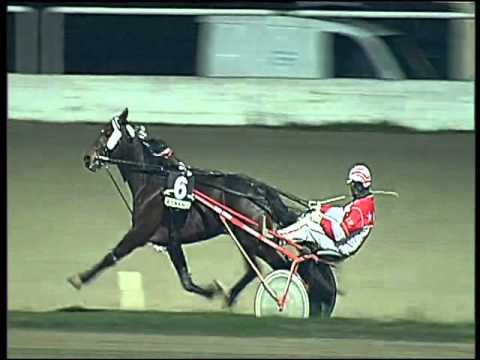 Trotto 21/01/2016 - 7° corsa