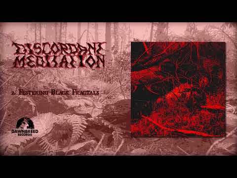 Discordant Meditation - Anticosmic Womb EP full 2023