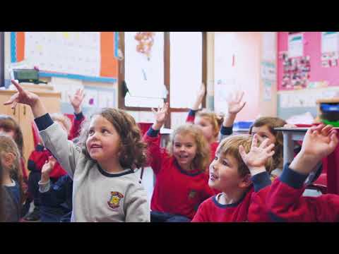 Vídeo Escuela Infantil Brains Conde de Orgaz