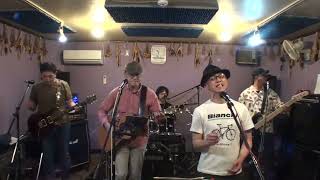 トンボの翅　チョウの翅