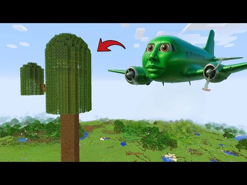 i Found Scariest KARKIRKIR PLANE 😱 in Minecraft | Tung Tung Sahur |