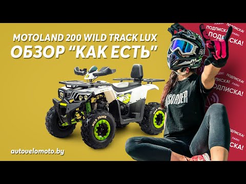 фото квадроцикл atv motoland 200 wild track lux без птс (к-т з/ч) 0