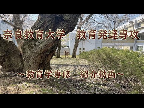 教育学専修PR動画