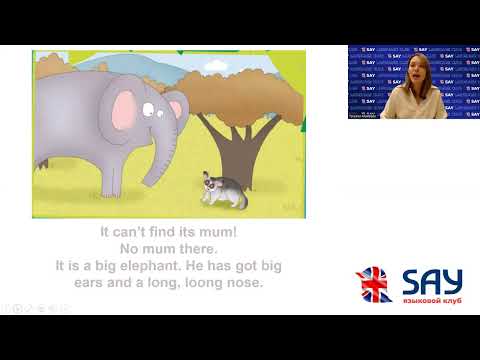 Unit 7 Lesson 4.2  Bush baby - малыш галаго - кто это?