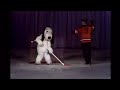 You Don T Look 40 Charlie Brown Through The Years Song