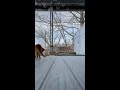 Bunny Vs Bubbles Barbie Bunny Bubbles Shorts Shortvideos Youtube Cute Fyp Trending Love