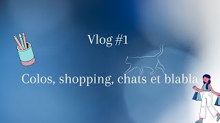 Vlog 1 - Colo, shopping, chats et blabla !