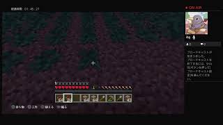 マイクラ