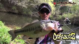 HIROAKI MIZUNO Professional, thorough fishing on shore fishing with DERABUZZ Vol. 1 Actual fishing