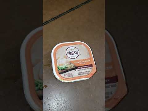 download lagu mp3 mp4 Nutro Dog Food Walmart, download lagu Nutro Dog Food Walmart gratis, unduh video klip Nutro Dog Food Walmart