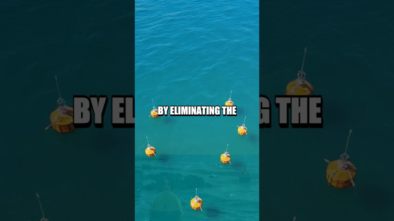 Revolutionizing Environmental Monitoring with Autonomous Buoys