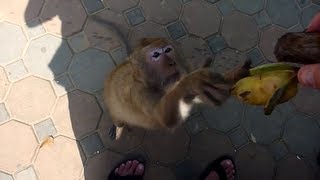 Phetchaburi, Thailand | Nov 10 - 11, 2009 | RTW Ep.12