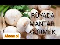 RÜYADA MANTAR GÖRMEK Rüyatabirleri Mantar