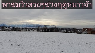 เดินออกกำลังกายชมวิวสวยๆช่วงฤดูหนาวจ้า,นงนภัส พาฝรั่งกิน