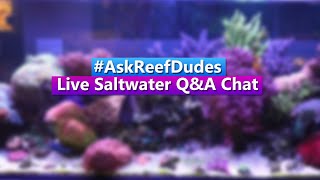 AskReefDudes Saltwater Reef Chat Live Q&A